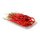 Cabe Merah Keriting