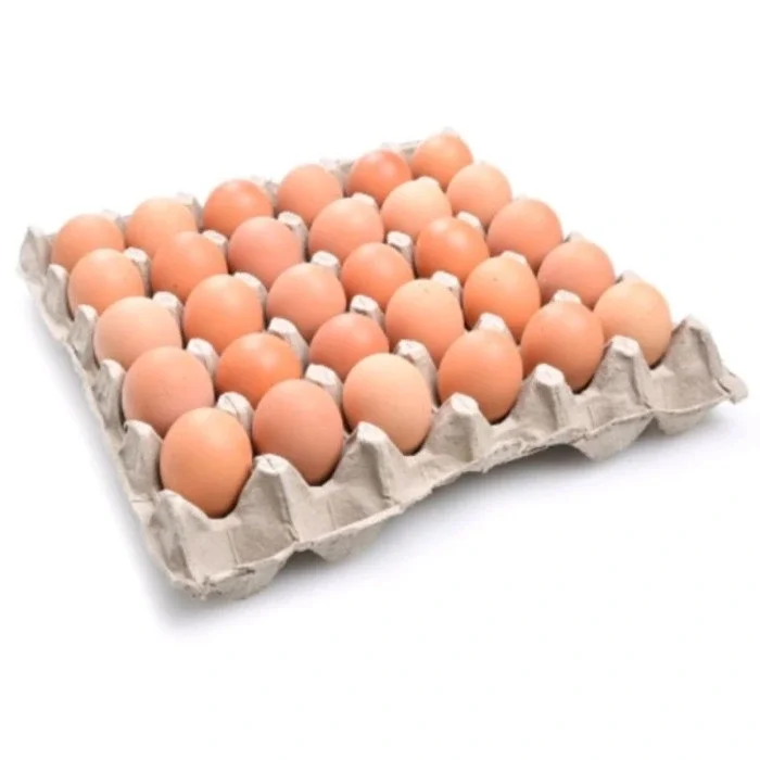 Telur Ayam Ras